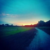 W P's photo