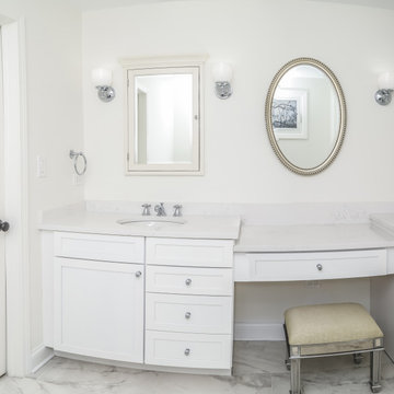 Master & Common Bath Remodel in Park Ridge
