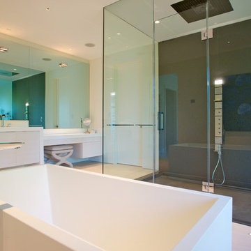 Indian Creek Island Transitional