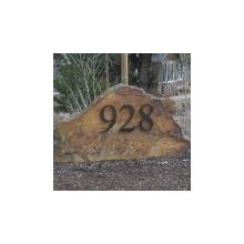 Landscape Ideas