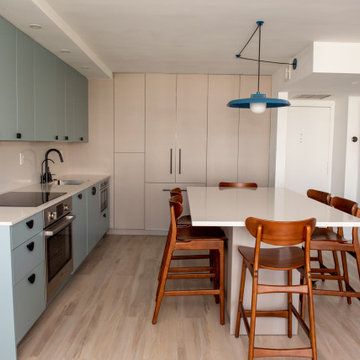Contemporary Kitchen Remodel