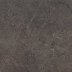 Marca Corona Deluxe Dark Reflex 24" x 24" - Tile