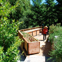 BigDaddyBigTent Garden