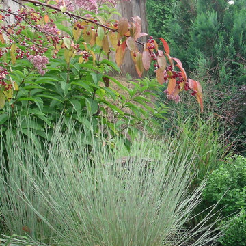 Autumn in the Garden