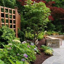 patio off dining room