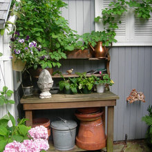 Back/Side Yard