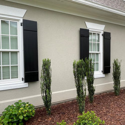 Double Hung Windows - Windows
