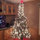 donna_hendrix85