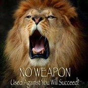 Mary Jo Esch's photo