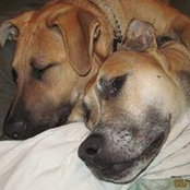 Foto de Eileen Lewis-Gentry
