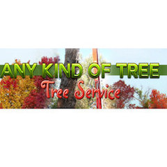 Any Kind Of Tree Service