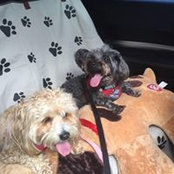 Kristie Brindle's photo