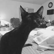 Marie Rosse's photo