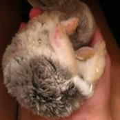 Sarah Stradwick's photo