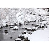 Shannon Gretsuk's photo