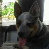 Lisa Lockner's photo