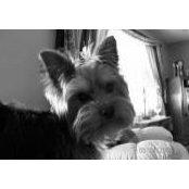 Donna Turner's photo