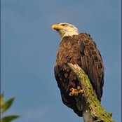 Loretta D'Ottavio's photo