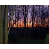 Jill Ritter-Rogers's photo