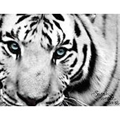 Holly Jensen's photo