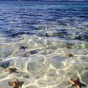 Melissa Owens's photo