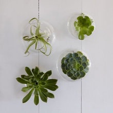 webuser_4251281's ideas