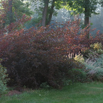 Salt Marsh Home Landscape - Ipswich, MA