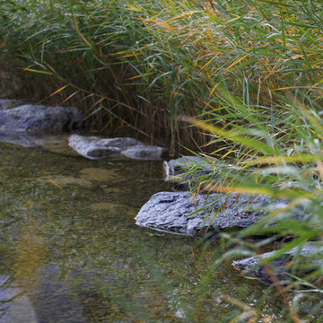 Jardin "sauvage" dans les pyrénées