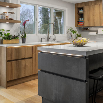 Modern Westchester Kitchen, Harrison NY