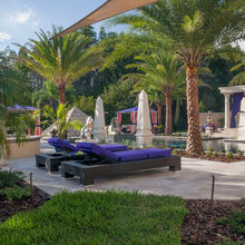 Landscape backyard