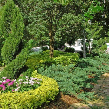 Mediterranean Landscape Design Miami