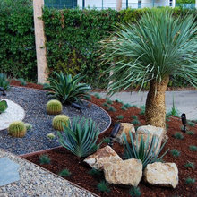 Plants