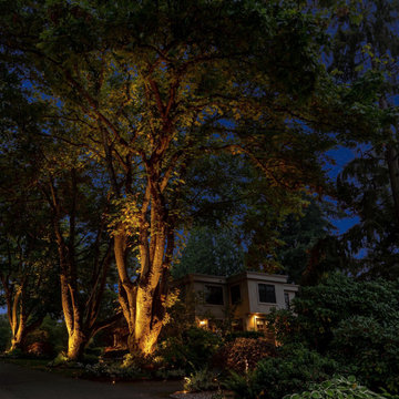 Overlake Country Club Residence