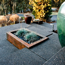 front  yard