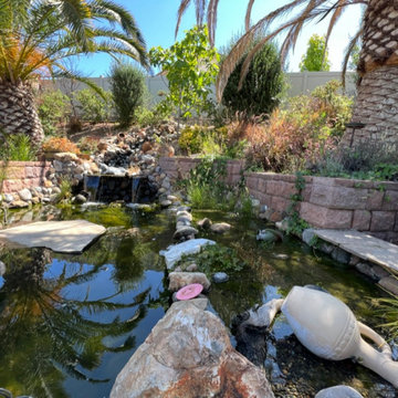 Turtle Pond with Beach and Wetland Filter