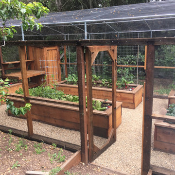 Vegetable Garden