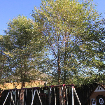 2028 Balsam Gap, Tyler, TX 75703- Backyard Improvements