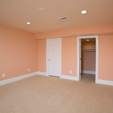 Movie Theatre Highlights Full Basement Remodel