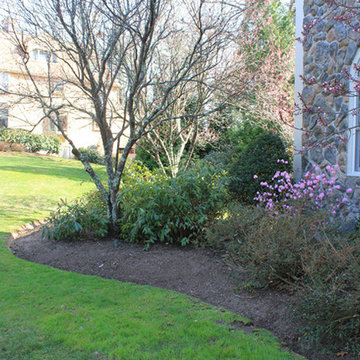 Environmental Landscapes