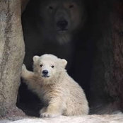 Cassie Kline's photo
