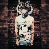 War Decipeda's photo