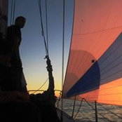 Daniel Gullman's photo