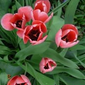 Foto von Ann Stover