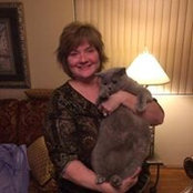 Wanda Mayhew's photo