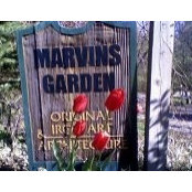 Marvins Garden's photo