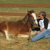David Doane's photo