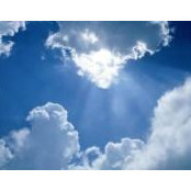 Jane Roggero's photo