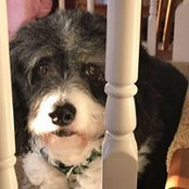 Kristi Richerson's photo