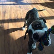 Tara Kleine's photo
