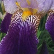 Carrie Head's photo